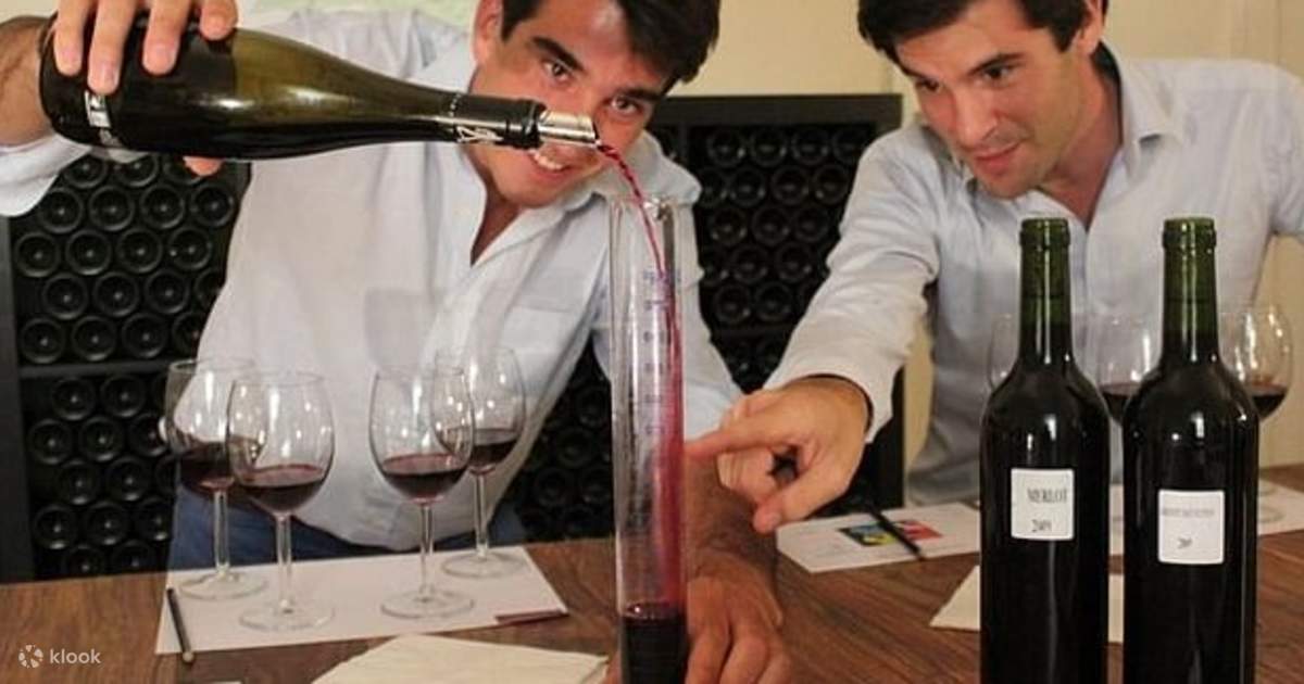 Wine Tasting Class And in Bordeaux Klook